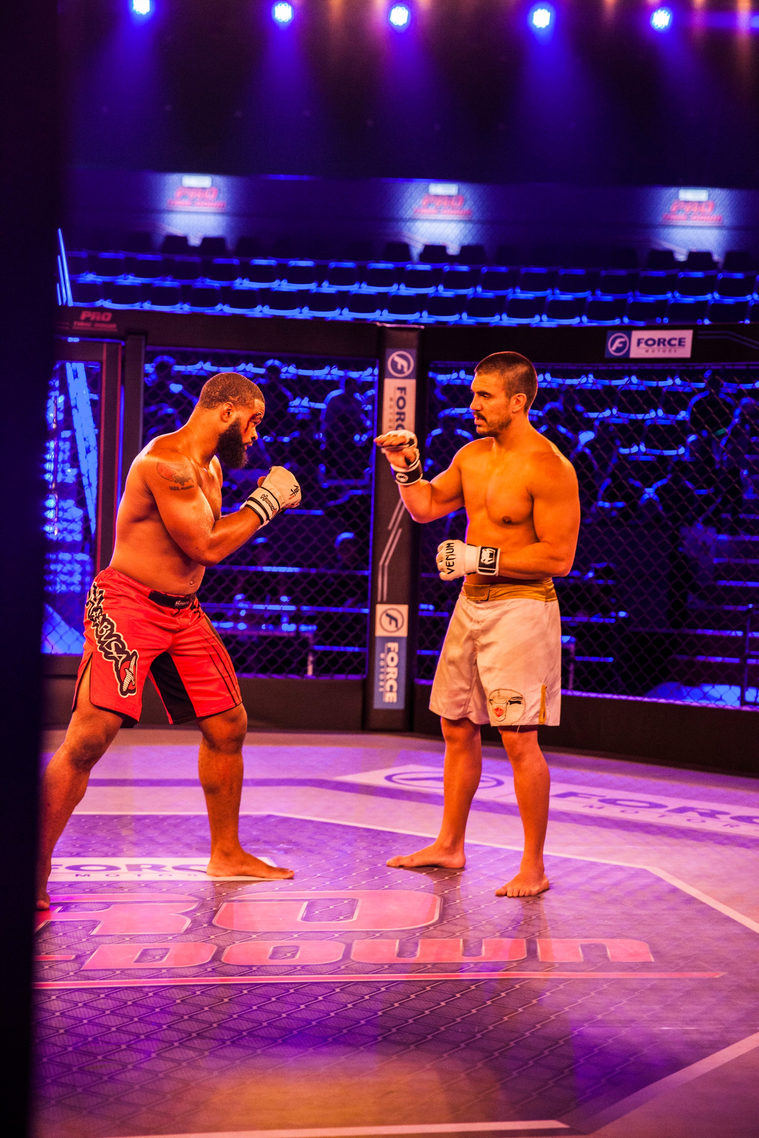 MMA fight in professional cage arena